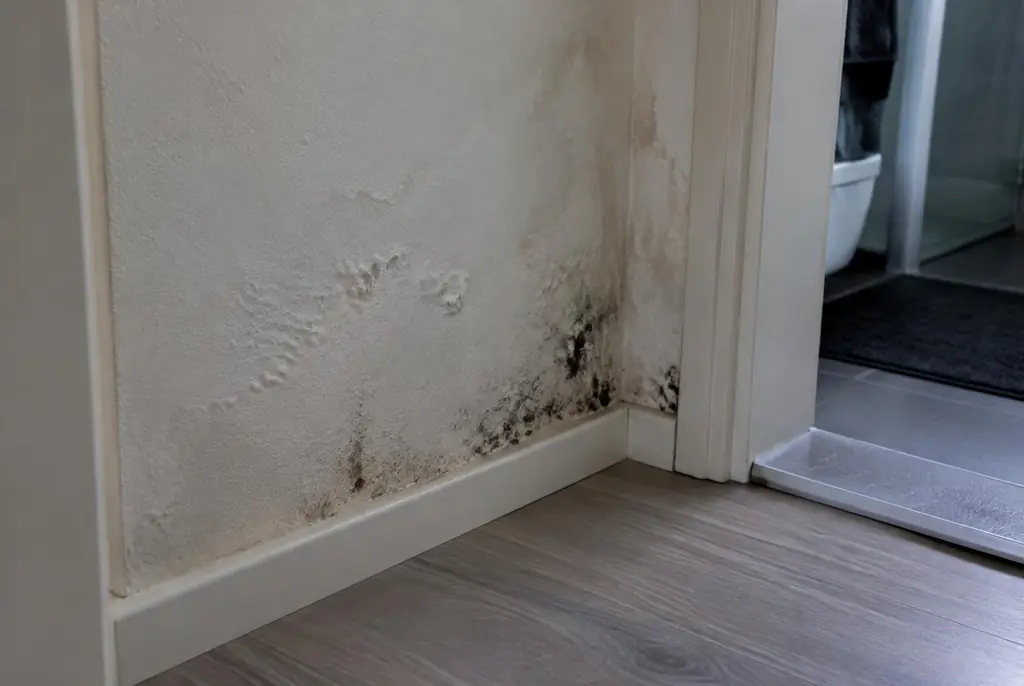 Lekdetectie Lunteren – vochtplek met schimmel op een muur